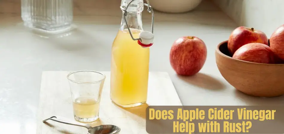 Does Apple Cider Vinegar Help with Rust