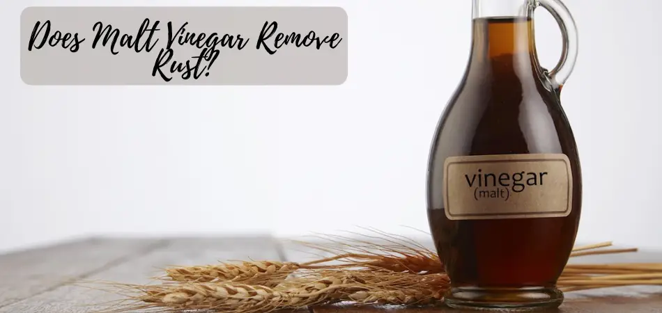 Does Malt Vinegar Remove Rust