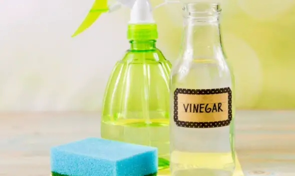 What Are the Steps to Remove Rust Using Distilled White Vinegar